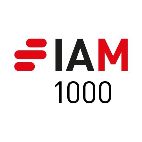 IAM Patent 1000